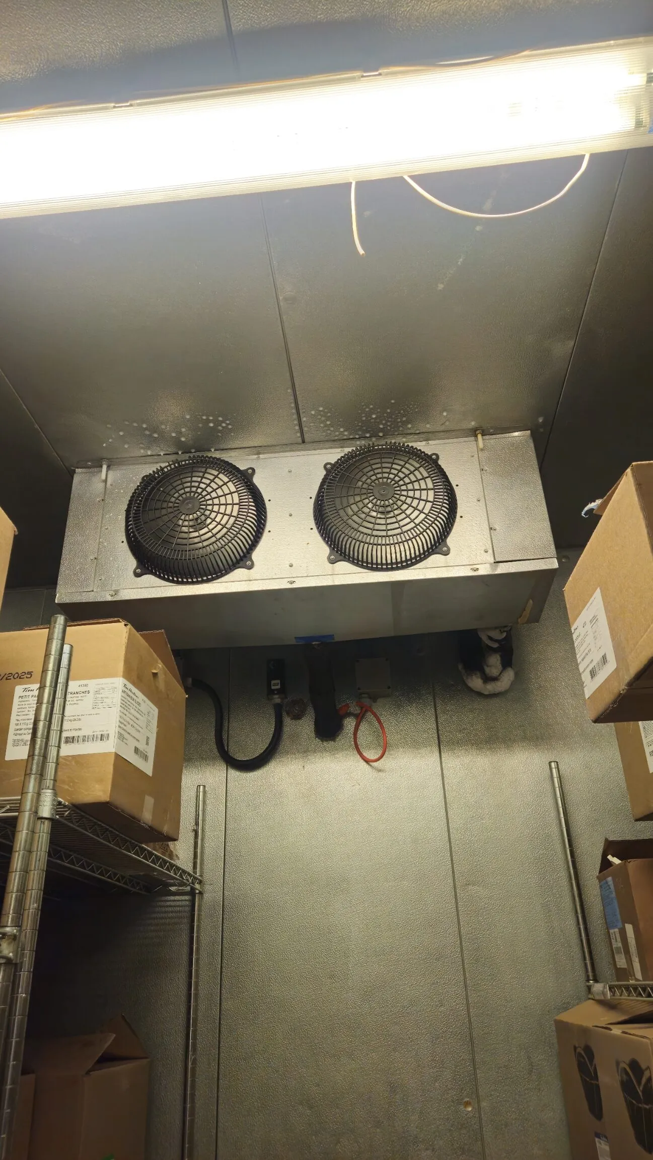Walk-in freezer evaporator coil being serviced